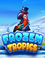 วิธีใช้ jdb ฟรี เครดิต 2020168 xo สู่ความสำเร็จ